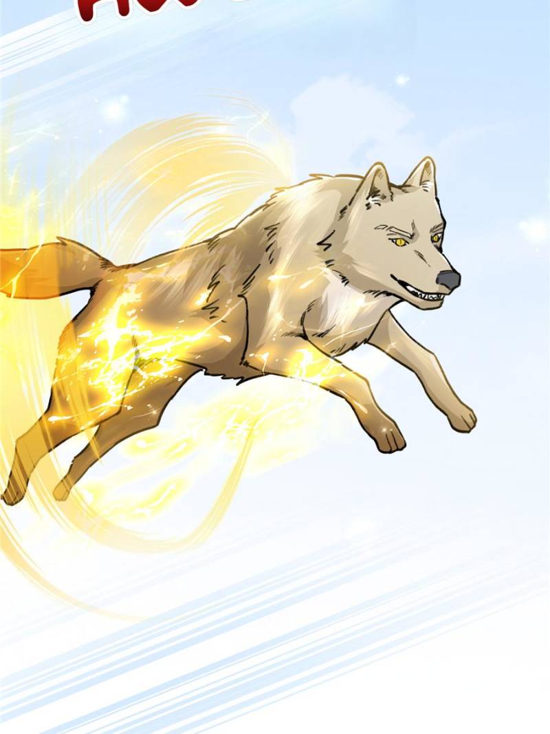 20. Scratching the ears is too exciting 75 80108514 800 1067 60625