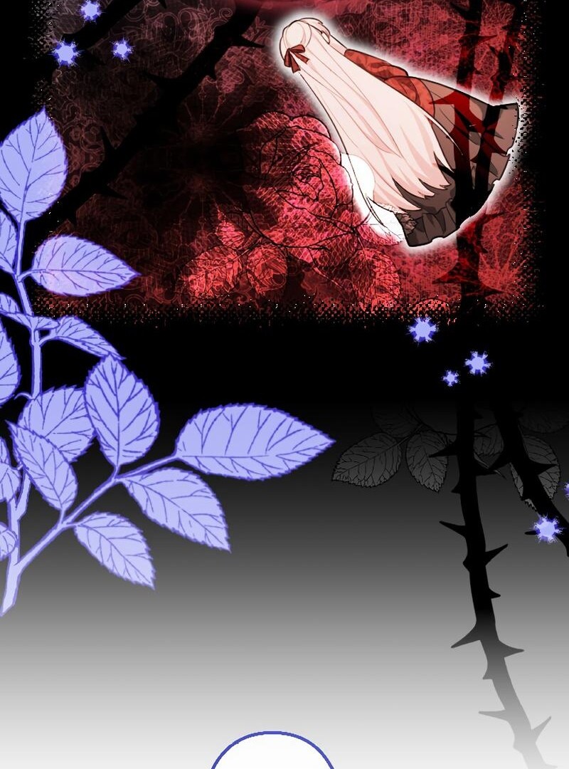 67885559 800 1080 182904